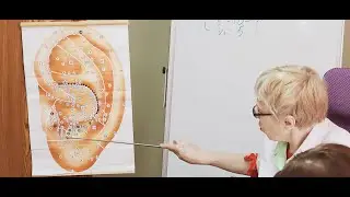 Аурикулотерапия👂 - это рефлексотерапия на ушной раковине.