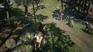 Horses Get Into Fight in RDR2