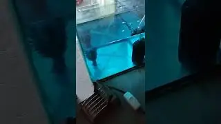 Все в ожидании...