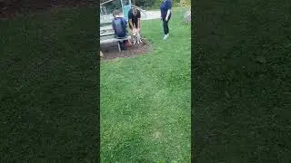 ОХРАНА  И РАЗБОРКИ!!