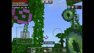 My Epic Legit Minecraft Speedrun