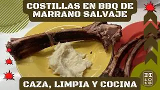 Vamos a recoger leña al cerco! Caza, limpia y cocina de marrano salvaje en TX — hunt, clean & cook