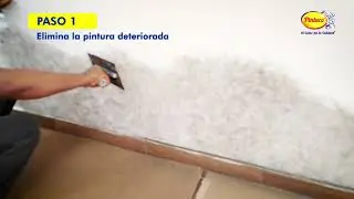 Paso a paso Dry-Block 3 en 1 de Pintuco