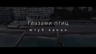 Глазами птиц.