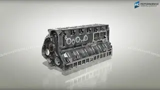 Строение и функция картера (3D анимация)