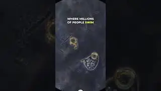 Brain Eating Amoeba Under Microscope 