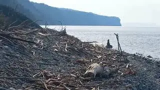 Дикие пляжи за горой Ёжик , территория нудистов ,что там? В поисках заброшенной турбазы часть первая