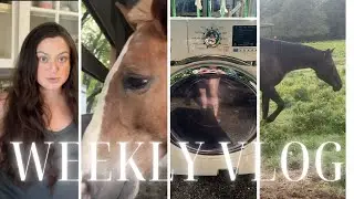 New horse adoption | house is falling apart | still pregnant