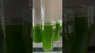 Detox Green Juice | Spinach | Celery |Cucumber | Pineapple  #recipe #diy #juice #detox  #plantbased