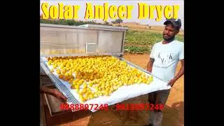 Solar Dryer for Karela or Anjeer I solar dryer