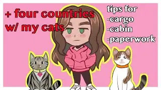 How I traveled with my cats! | Airplane Cargo and Cabin