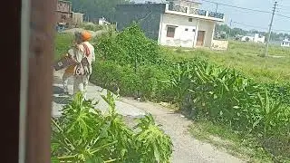 Naya jugadh baba ka