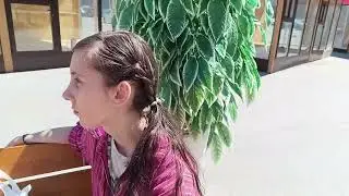 ❌❌❌❌❌❌❌❌❌❌ ОЗОН банк перевод на карту для оплаты за проезд и вайфай интернет 2204240232182560