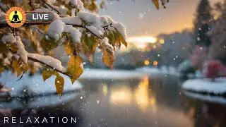 This live stream has ended. We will release a new version of this live stream soon. See link below