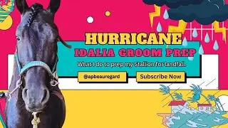 Live Replay: How I Groom Prep My Stallion Before a Hurricane 🌀 Hurricane Idalia Edition 2023