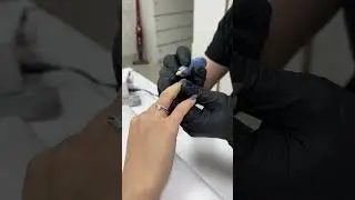 Никита Гуров