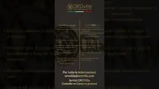 Pillole preziose OROvilla #14: "Deposito vs Conto OROvilla"