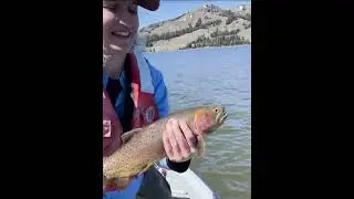 Phoebe Teskey Yellowstone National Park
