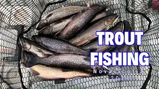 Trolling From Tiny Boat! | Nova Scotia Trout Fishing 2024
