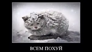 Интернет видео в жанре кринж номер  294