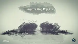 American Stray Dogs Tour Produced By WA2S Films