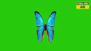 4K VFX Wizardry: Transforming Reality with Green Screen|Crafting Virtual Realities with Green Screen