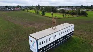 Giraffe 🦒 hunt 