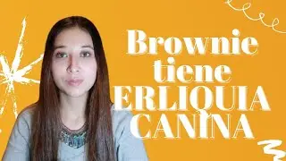 MI MASCOTA TIENE ERLIQUIA CANINA, QUE ES LA ERLIQUIOSIS ? 🐾