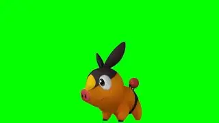 PIG GREEN SCREEN EFFECT VIDEO