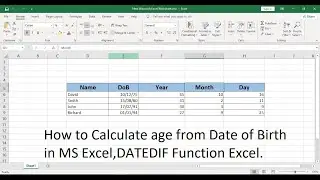 How to Calculate Age from Date of Birth in MS Excel। DATEDIF Function Excel