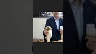 Так ты берёшь хомяка? #shortvideos #memes #funny #мемы #приколы #байден