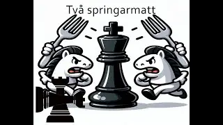 Schack Två springarmatt | Ett ovanligt mattmönster