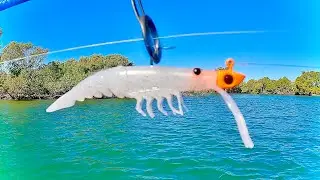 NEW PRAWN LURE 🦐 Mintoss Skip Prawn