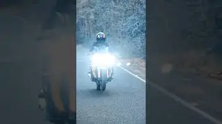 Apache RR310 Love #shorts #rr310 #tvs