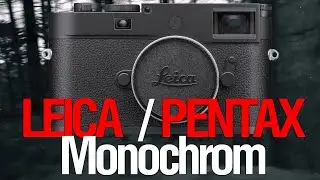 [Стрим]  Leica  M11 Monochrom | PENTAX K-3 Mark Ⅲ Monochrome