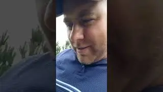 Грибочки подросли