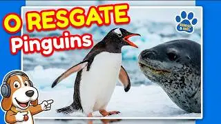 Animais Engraçados - O RESGATE DOS PINGUINS - Binho e Mel