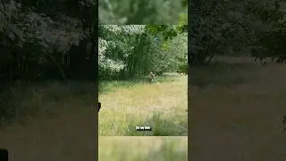 CHASED INSIDE AN ABANDONED VILLAGE BY SOME MYSTERIOUS MAN  