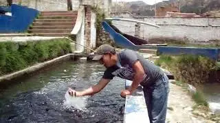 Pescando con la mano