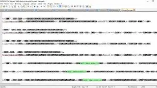 FORENSICS TOOLS||NETWORK TRAFFIC ANALYSIS||TEST DOMAIN FLUX