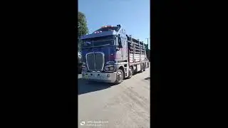Transfer to Christchurch