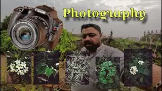 Rain and photography / Shahgee47