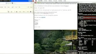 CVE-2010-1818 : Metasploit  _Marshaled_pUnk QuickTime Remote Code Execution
