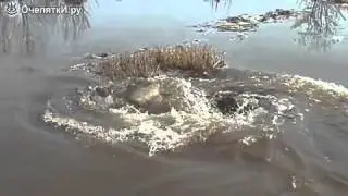 Чудовищный водоворот