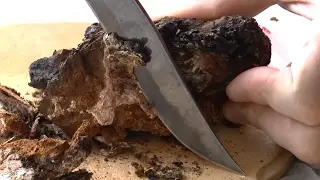 How to properly cut and brew chaga.