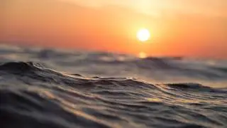 SOUND OF NATURE 