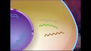 ¿Qué es el SIDA (VIH)? ¿cuál es el proceso de infección?