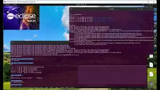 VxWorks Testing Using Parasoft