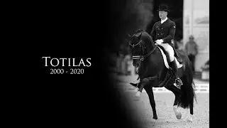 Totilas II December 14.12.2020 [*]