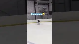 ‪@HOCKEYTWINS‬